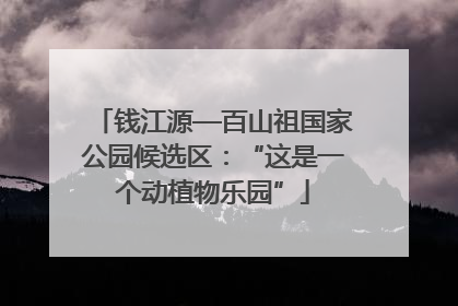 钱江源—百山祖国家公园候选区：“这是一个动植物乐园”
