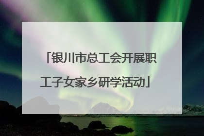 银川市总工会开展职工子女家乡研学活动