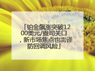 铂金飙涨突破1200美元/盎司关口，新市场焦点也需谨防回调风险