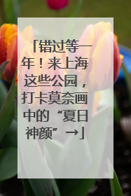 错过等一年！来上海这些公园，打卡莫奈画中的“夏日神颜”→