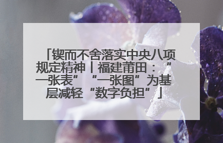 锲而不舍落实中央八项规定精神丨福建莆田：“一张表”“一张图”为基层减轻“数字负担”
