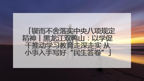 锲而不舍落实中央八项规定精神丨黑龙江双鸭山：以学促干推动学习教育走深走实 从小事入手写好“民生答卷”
