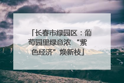 长春市绿园区：葡萄园里绿意浓 “紫色经济”焕新枝