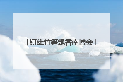 镇雄竹笋飘香南博会