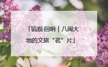 镜观·回响｜八闽大地的文旅“茗”片