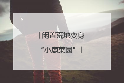 闲置荒地变身“小鹿菜园”