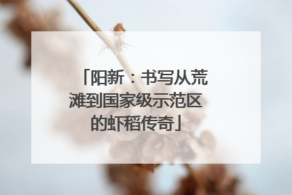 阳新：书写从荒滩到国家级示范区的虾稻传奇