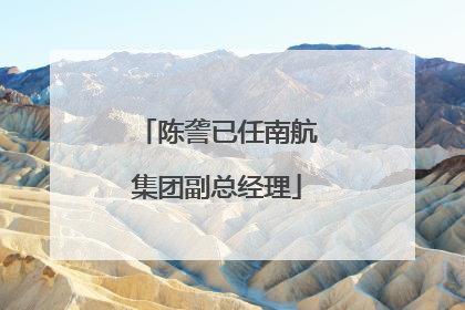 陈詟已任南航集团副总经理
