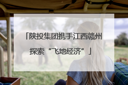 陕投集团携手江西赣州 探索“飞地经济”
