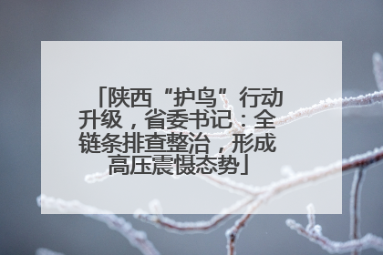 陕西“护鸟”行动升级，省委书记：全链条排查整治，形成高压震慑态势