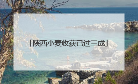陕西小麦收获已过三成