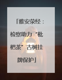 雅安荥经：检察助力“枇杷茶”古树挂牌保护