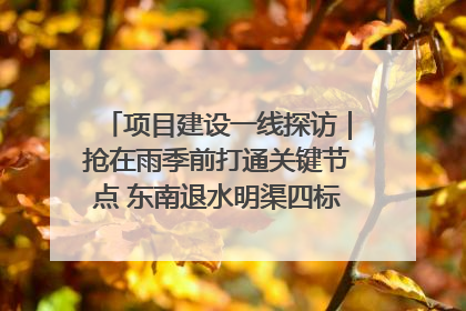 项目建设一线探访｜抢在雨季前打通关键节点 东南退水明渠四标段项目顺利完工