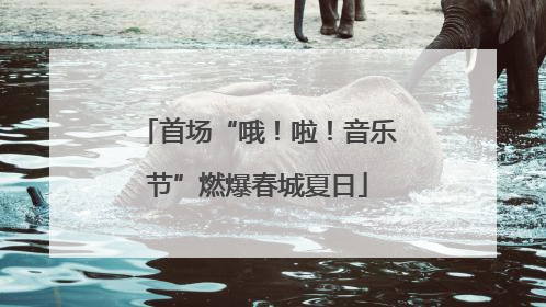 首场“哦！啦！音乐节”燃爆春城夏日