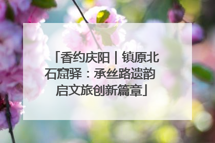 香约庆阳｜镇原北石窟驿：承丝路遗韵 启文旅创新篇章