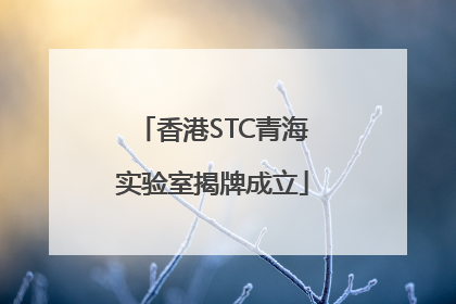 香港STC青海实验室揭牌成立