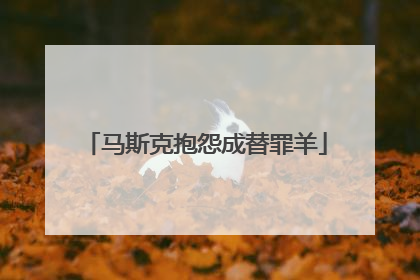 马斯克抱怨成替罪羊