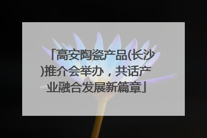 高安陶瓷产品(长沙)推介会举办，共话产业融合发展新篇章