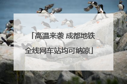 高温来袭 成都地铁全线网车站均可纳凉