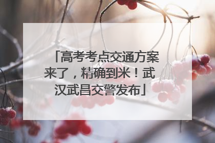 高考考点交通方案来了，精确到米！武汉武昌交警发布