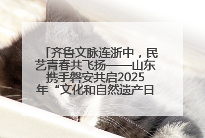 齐鲁文脉连浙中，民艺青春共飞扬——山东携手磐安共启2025年“文化和自然遗产日”系列活动