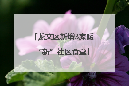 龙文区新增3家暖“新”社区食堂