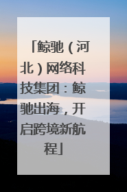 鲸驰（河北）网络科技集团：鲸驰出海，开启跨境新航程