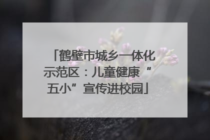 鹤壁市城乡一体化示范区：儿童健康“五小”宣传进校园