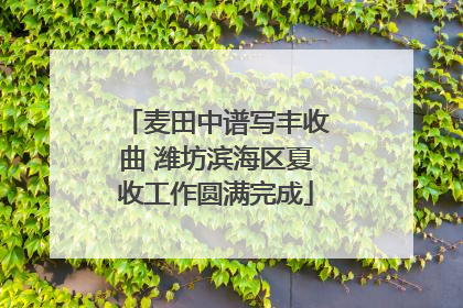 麦田中谱写丰收曲 潍坊滨海区夏收工作圆满完成