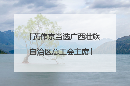 黄伟京当选广西壮族自治区总工会主席