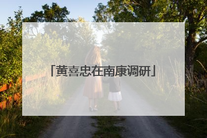 黄喜忠在南康调研