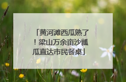 黄河滩西瓜熟了！梁山万余亩沙瓤瓜直达市民餐桌