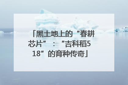 黑土地上的“春耕芯片”：“吉科稻518”的育种传奇