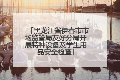 黑龙江省伊春市市场监管局友好分局开展特种设备及学生用品安全检查