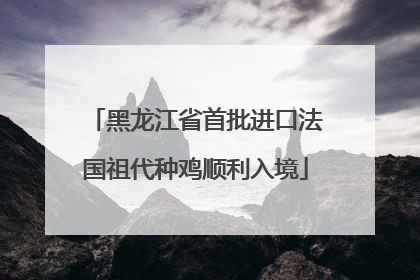 黑龙江省首批进口法国祖代种鸡顺利入境