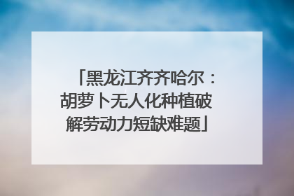黑龙江齐齐哈尔：胡萝卜无人化种植破解劳动力短缺难题