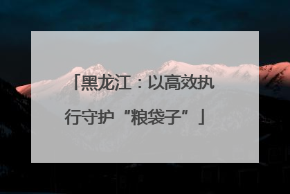 黑龙江：以高效执行守护“粮袋子”