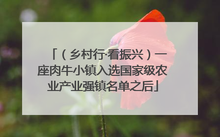（乡村行·看振兴）一座肉牛小镇入选国家级农业产业强镇名单之后