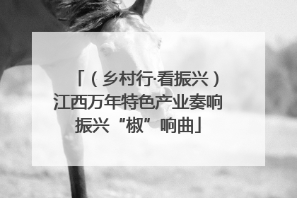 （乡村行·看振兴）江西万年特色产业奏响振兴“椒”响曲