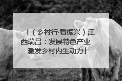 （乡村行·看振兴）江西瑞昌：发展特色产业 激发乡村内生动力