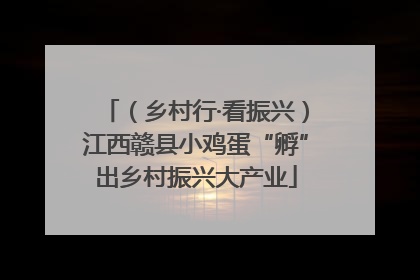 （乡村行·看振兴）江西赣县小鸡蛋“孵”出乡村振兴大产业