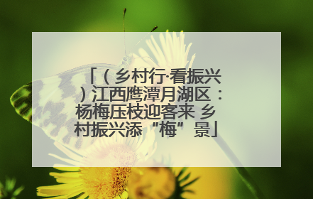 （乡村行·看振兴）江西鹰潭月湖区：杨梅压枝迎客来 乡村振兴添“梅”景