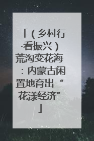 （乡村行·看振兴）荒沟变花海：内蒙古闲置地育出“花漾经济”