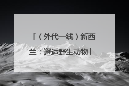 （外代一线）新西兰：邂逅野生动物