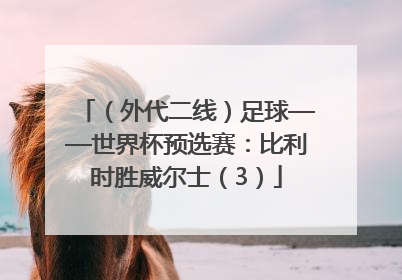 （外代二线）足球——世界杯预选赛：比利时胜威尔士（3）