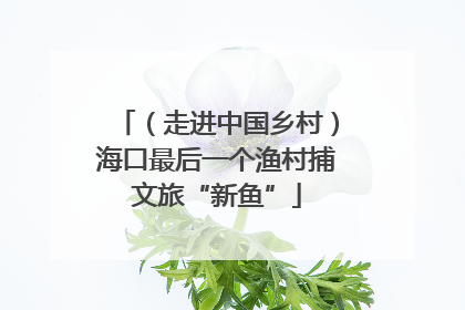 （走进中国乡村）海口最后一个渔村捕文旅“新鱼”