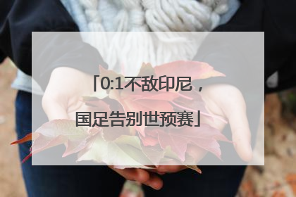 0:1不敌印尼，国足告别世预赛