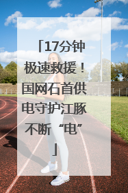 17分钟极速救援！国网石首供电守护江豚不断“电”