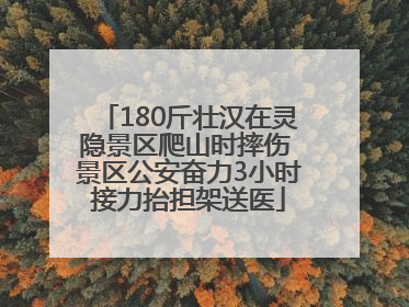 180斤壮汉在灵隐景区爬山时摔伤 景区公安奋力3小时接力抬担架送医