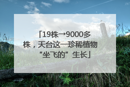 19株→9000多株，天台这一珍稀植物“坐飞的”生长